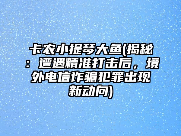 卡農小提琴大魚(揭秘：遭遇精準打擊后，境外電信詐騙犯罪出現新動向)