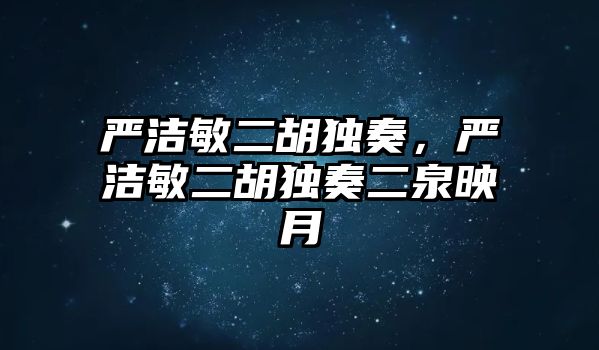 嚴潔敏二胡獨奏，嚴潔敏二胡獨奏二泉映月