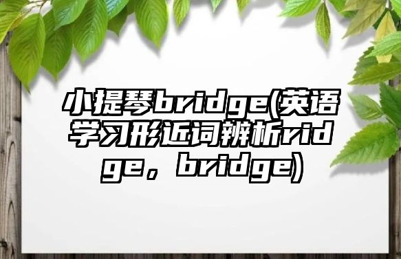 小提琴bridge(英語(yǔ)學(xué)習(xí)形近詞辨析ridge，bridge)