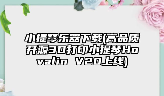 小提琴樂器下載(高品質開源3D打印小提琴Hovalin V20上線)