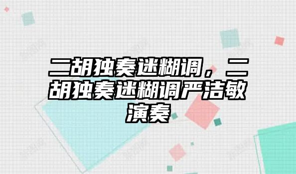 二胡獨奏迷糊調，二胡獨奏迷糊調嚴潔敏演奏