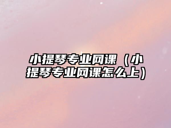 小提琴專業網課（小提琴專業網課怎么上）