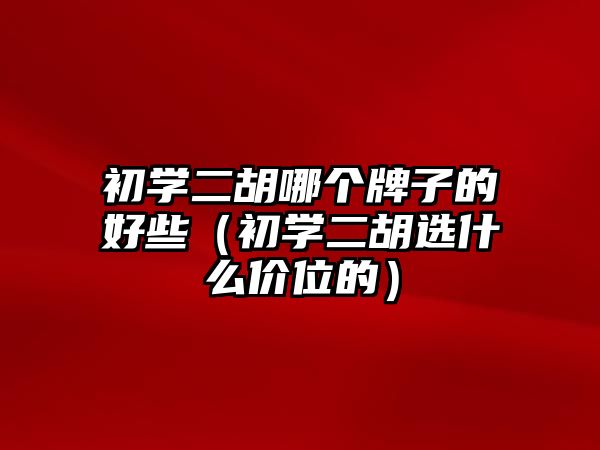 初學(xué)二胡哪個(gè)牌子的好些（初學(xué)二胡選什么價(jià)位的）