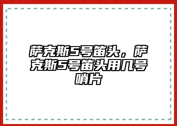 薩克斯5號笛頭，薩克斯5號笛頭用幾號哨片