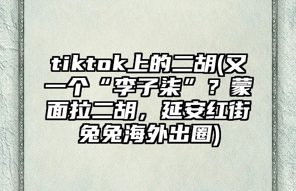 tiktok上的二胡(又一個“李子柒”？蒙面拉二胡，延安紅街兔兔海外出圈)