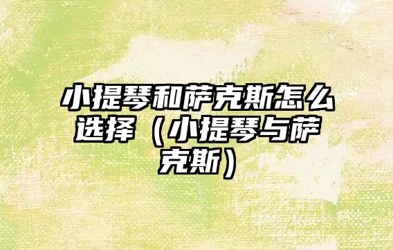 小提琴和薩克斯怎么選擇（小提琴與薩克斯）