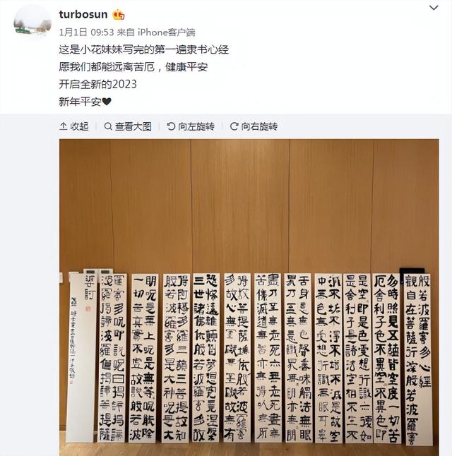 孫儷為大提琴考級做準備，曬練習美照打趣：不要一緊張拉出豬叫聲