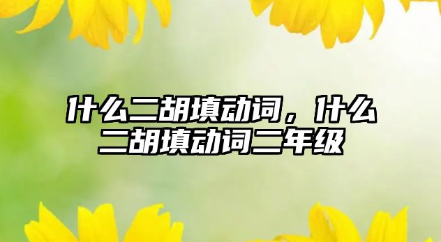 什么二胡填動詞，什么二胡填動詞二年級