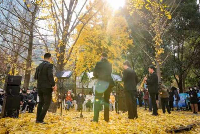 金燦燦的古典薩克斯四重奏：上海音樂廳銀杏音樂會再次與市民相約冬日