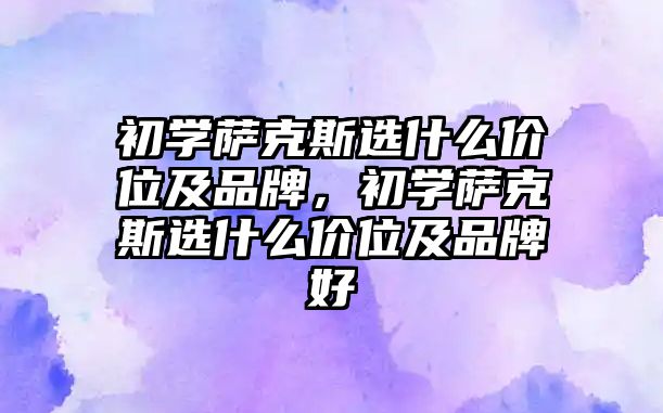 初學薩克斯選什么價位及品牌，初學薩克斯選什么價位及品牌好