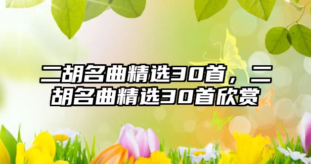 二胡名曲精選30首，二胡名曲精選30首欣賞