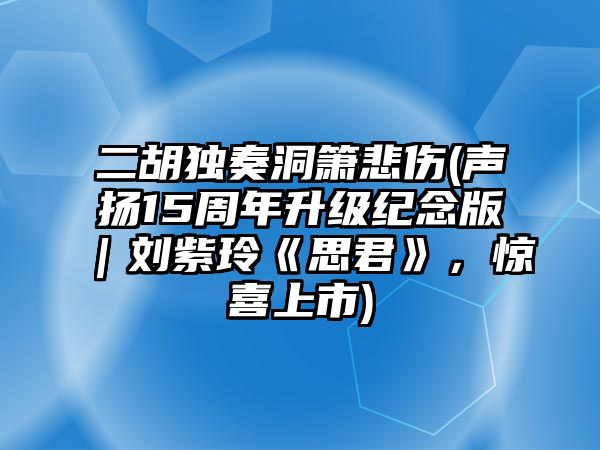 二胡獨奏洞簫悲傷(聲揚15周年升級紀念版｜劉紫玲《思君》，驚喜上市)