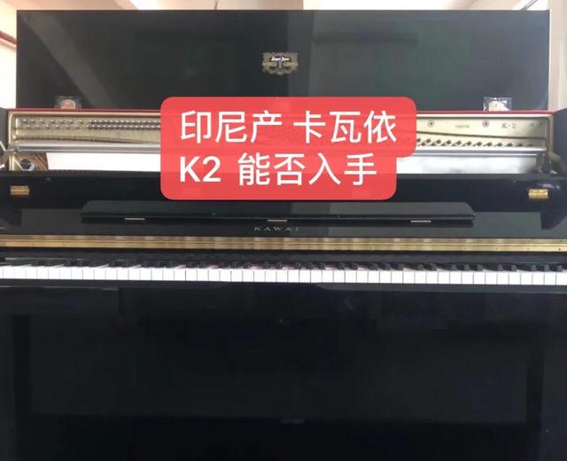 問答環節：印尼產卡哇伊鋼琴帶靜音K2 能否入