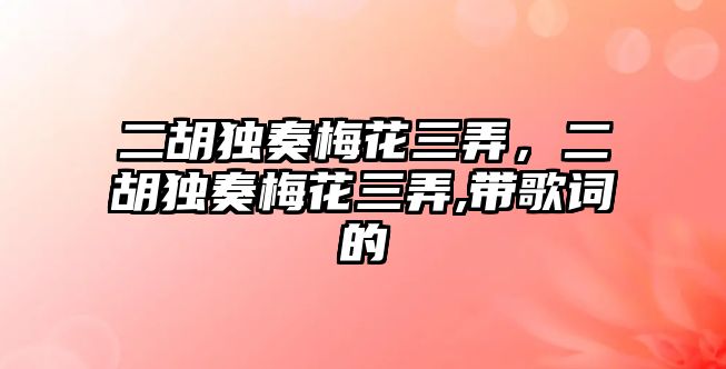 二胡獨奏梅花三弄，二胡獨奏梅花三弄,帶歌詞的