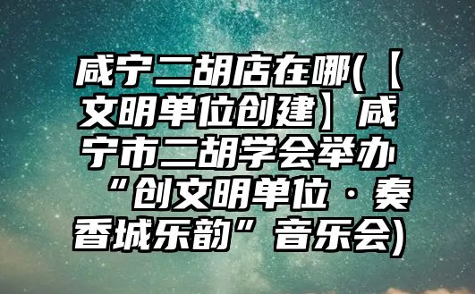 咸寧二胡店在哪(【文明單位創建】咸寧市二胡學會舉辦 “創文明單位·奏香城樂韻”音樂會)