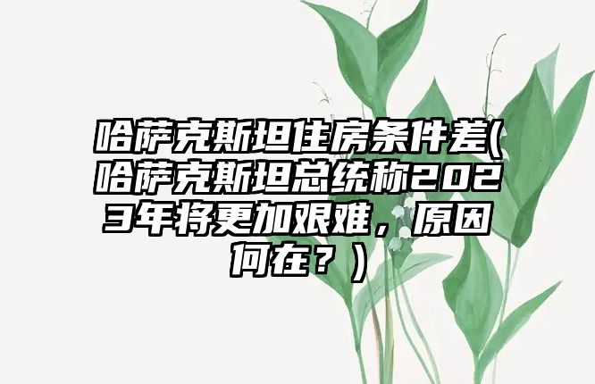 哈薩克斯坦住房條件差(哈薩克斯坦總統(tǒng)稱2023年將更加艱難，原因何在？)