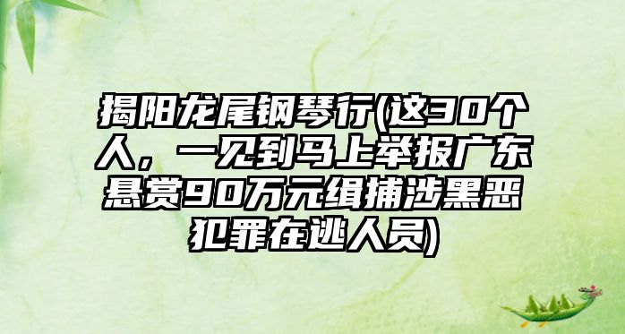 揭陽龍尾鋼琴行(這30個人，一見到馬上舉報廣東懸賞90萬元緝捕涉黑惡犯罪在逃人員)