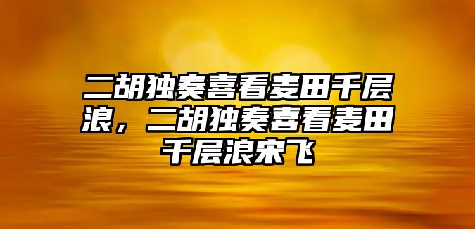 二胡獨(dú)奏喜看麥田千層浪，二胡獨(dú)奏喜看麥田千層浪宋飛