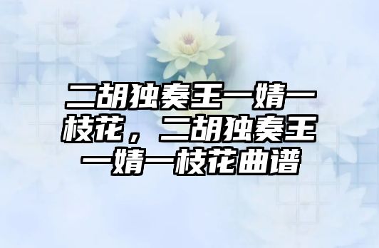 二胡獨奏王一婧一枝花，二胡獨奏王一婧一枝花曲譜