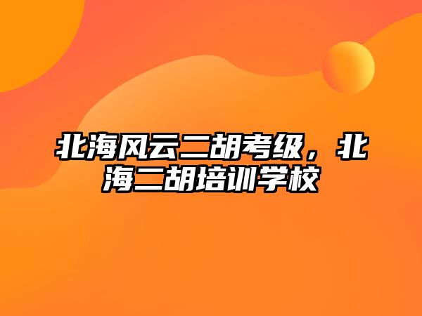 北海風云二胡考級，北海二胡培訓學校