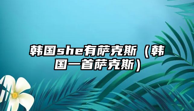 韓國she有薩克斯（韓國一首薩克斯）