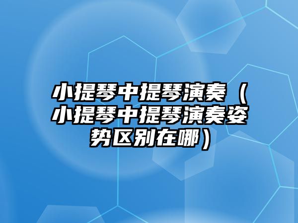 小提琴中提琴演奏（小提琴中提琴演奏姿勢區別在哪）