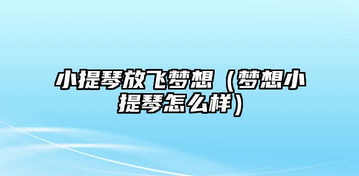 小提琴放飛夢想（夢想小提琴怎么樣）