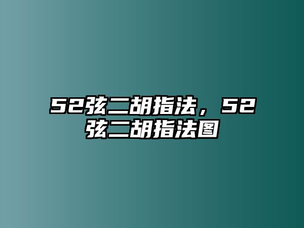 52弦二胡指法，52弦二胡指法圖