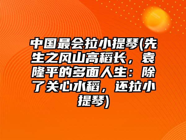 中國最會拉小提琴(先生之風山高稻長，袁隆平的多面人生：除了關心水稻，還拉小提琴)