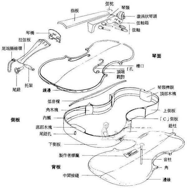 超級(jí)詳細(xì)的小提琴結(jié)構(gòu)圖