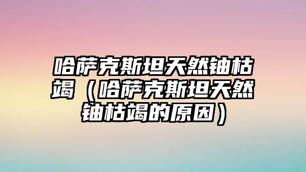 哈薩克斯坦天然鈾枯竭（哈薩克斯坦天然鈾枯竭的原因）