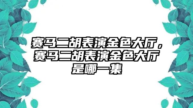 賽馬二胡表演金色大廳，賽馬二胡表演金色大廳是哪一集