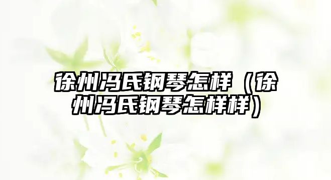 徐州馮氏鋼琴怎樣（徐州馮氏鋼琴怎樣樣）