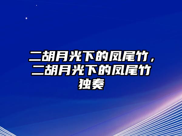 二胡月光下的鳳尾竹，二胡月光下的鳳尾竹獨奏