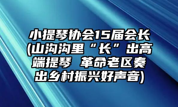 小提琴協會15屆會長(山溝溝里“長”出高端提琴 革命老區奏出鄉村振興好聲音)