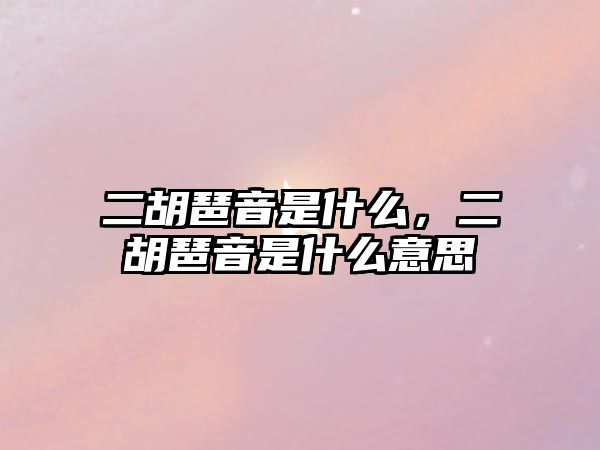 二胡琶音是什么，二胡琶音是什么意思