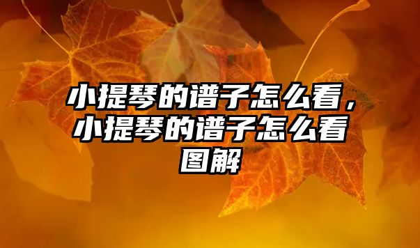 小提琴的譜子怎么看，小提琴的譜子怎么看圖解