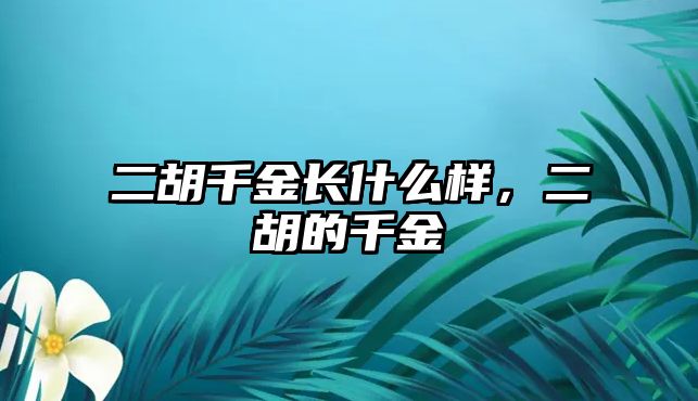 二胡千金長(zhǎng)什么樣，二胡的千金