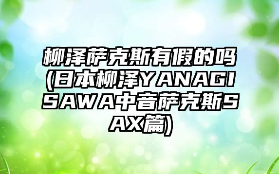 柳澤薩克斯有假的嗎(日本柳澤YANAGISAWA中音薩克斯SAX篇)