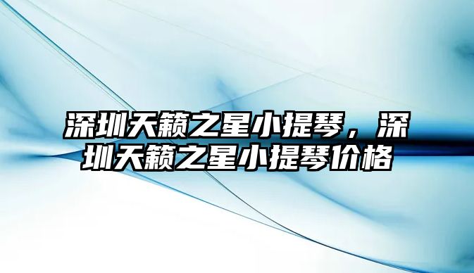 深圳天籟之星小提琴，深圳天籟之星小提琴價格