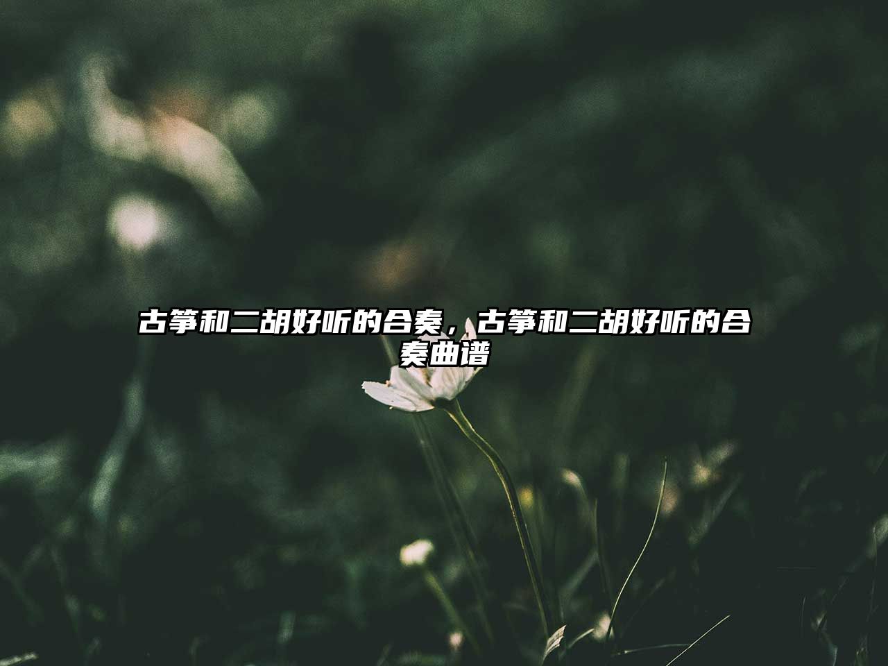 古箏和二胡好聽的合奏，古箏和二胡好聽的合奏曲譜