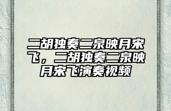 二胡獨奏二泉映月宋飛，二胡獨奏二泉映月宋飛演奏視頻