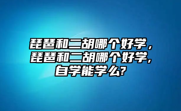 琵琶和二胡哪個好學，琵琶和二胡哪個好學,自學能學么?