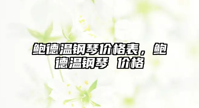 鮑德溫鋼琴價格表，鮑德溫鋼琴 價格