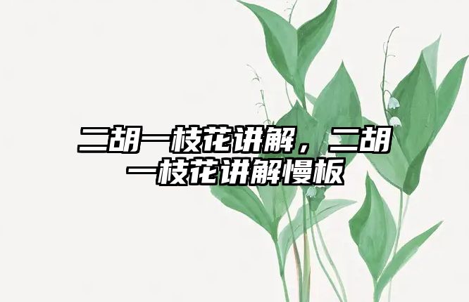 二胡一枝花講解，二胡一枝花講解慢板