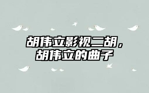 胡偉立影視二胡，胡偉立的曲子