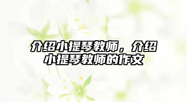 介紹小提琴教師，介紹小提琴教師的作文