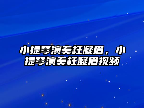 小提琴演奏枉凝眉，小提琴演奏枉凝眉視頻