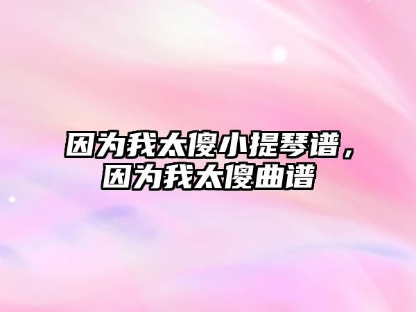 因為我太傻小提琴譜，因為我太傻曲譜