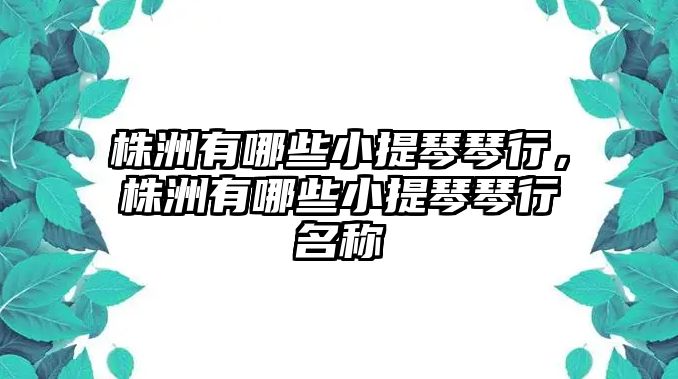 株洲有哪些小提琴琴行，株洲有哪些小提琴琴行名稱